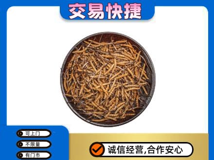 江门回收散虫草